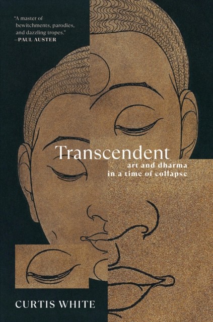 Transcendent by Curtis White (Paperback Book)