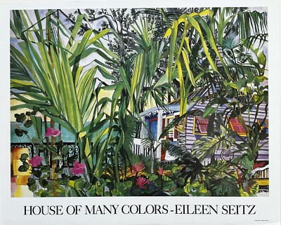 House of many colors -Eileen Seitz