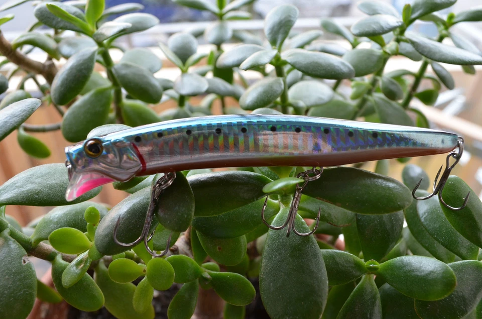 6X Wobbler Schweden Popper Pop Jerkbait Crankbait Stickbait Hecht 128mm, 20,5gr