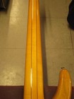 Foto 5 di 7