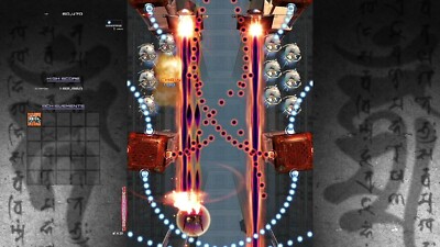Nintendo Switch IKARUGA Limited Edition Shooting Game From Japan