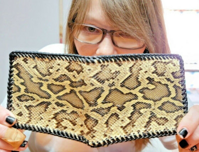 Python skin Wallet bi-Fold Men Billfold Gator Original Slim Pocket NEW Authentic