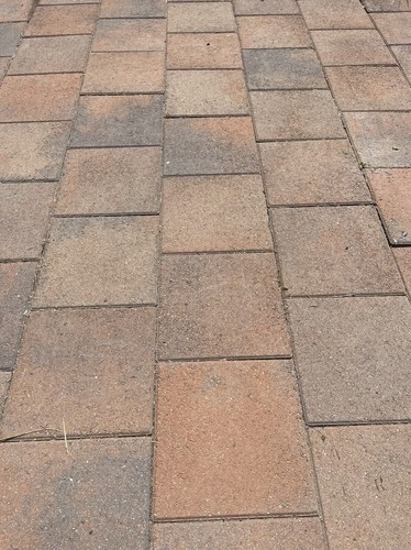 900 Pavers - Getting pulled this week! 