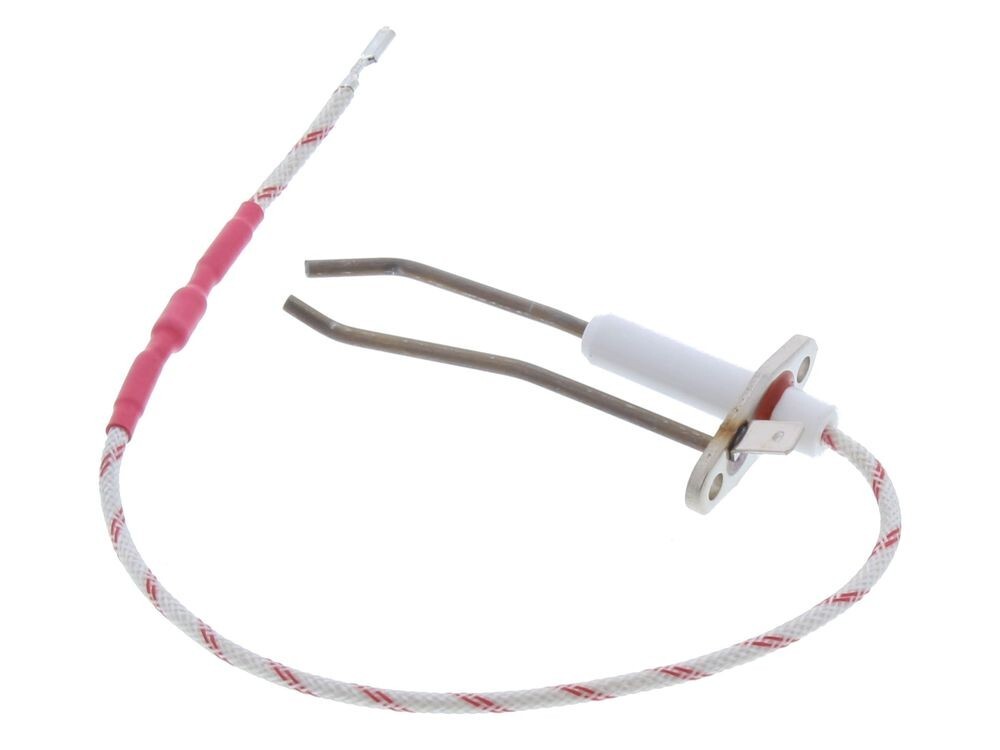 Biasi Ignition Electrode BI1223116 Hscl0751 for sale online eBay