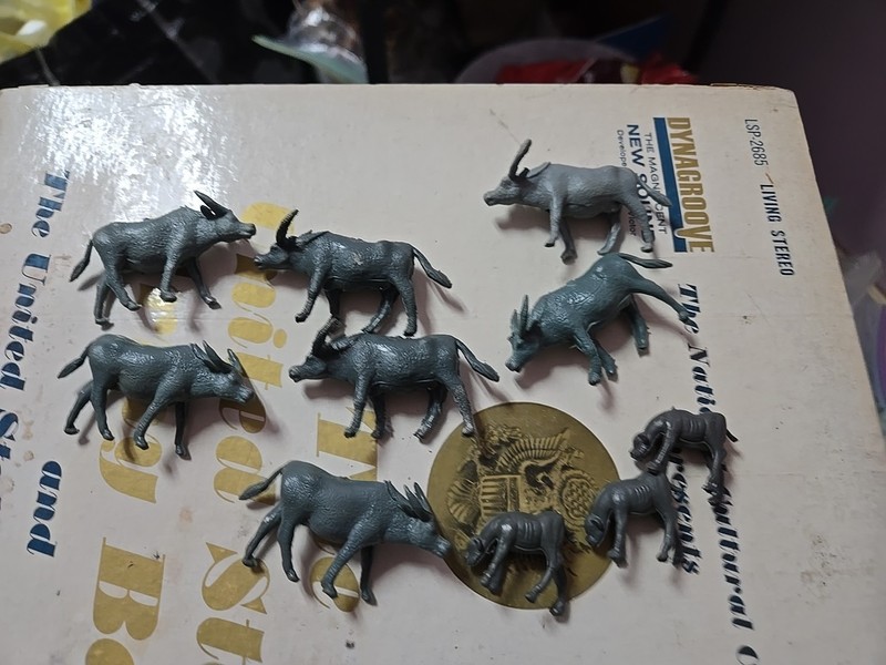 Lot Of 10 Water Buffalo Unknown Brand Used  About 2" To 2 1/2" Long SLP 