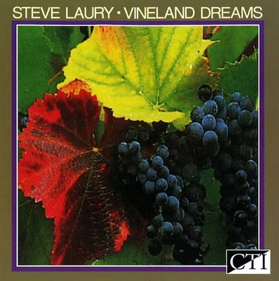 Steve Laury   Vineland Dreams CD