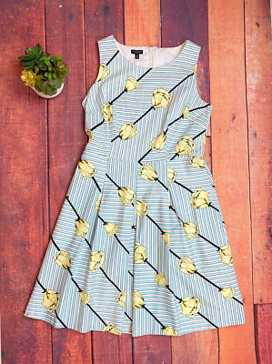 Talbots Tulip Floral Stripe Fit & Flare Knee Length Dress Size 8p