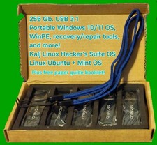 256 Gb. USB 3.1 Portable Windows OS, WinPE, recovery/repair tools, and more 