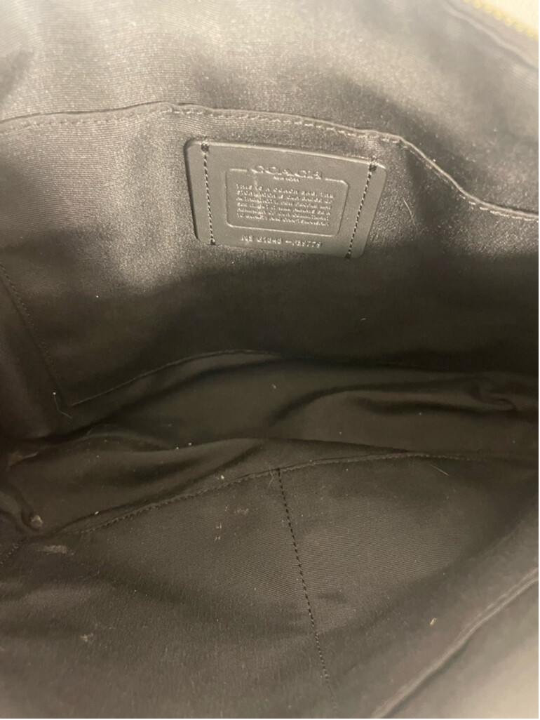 Coach, small python embossed, Kelsey satchel pewt… - image 6