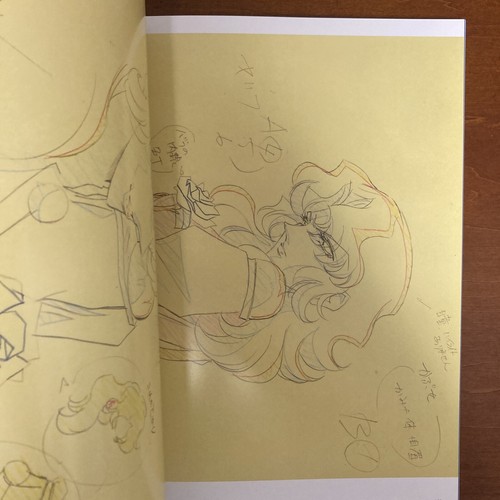Revolutionary Girl Utena Art Book The hard core of UTENA Animation Side - Picture 16 of 24