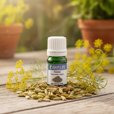 Fennel Essential Oil