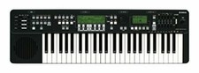Yamaha Harmony Director HD-200