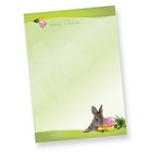 Bild 9 von 17