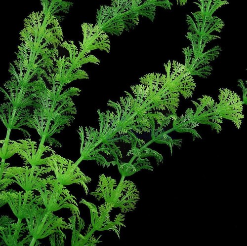Pianta finta per Acquario Piantina Decorazione Artificiale decori Verde 30 cm - Foto 2 di 2