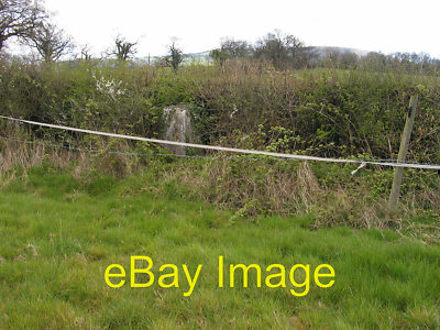 Photo 12x8 Hedge with trig point Cross Llyde The barely visible trig point c2005