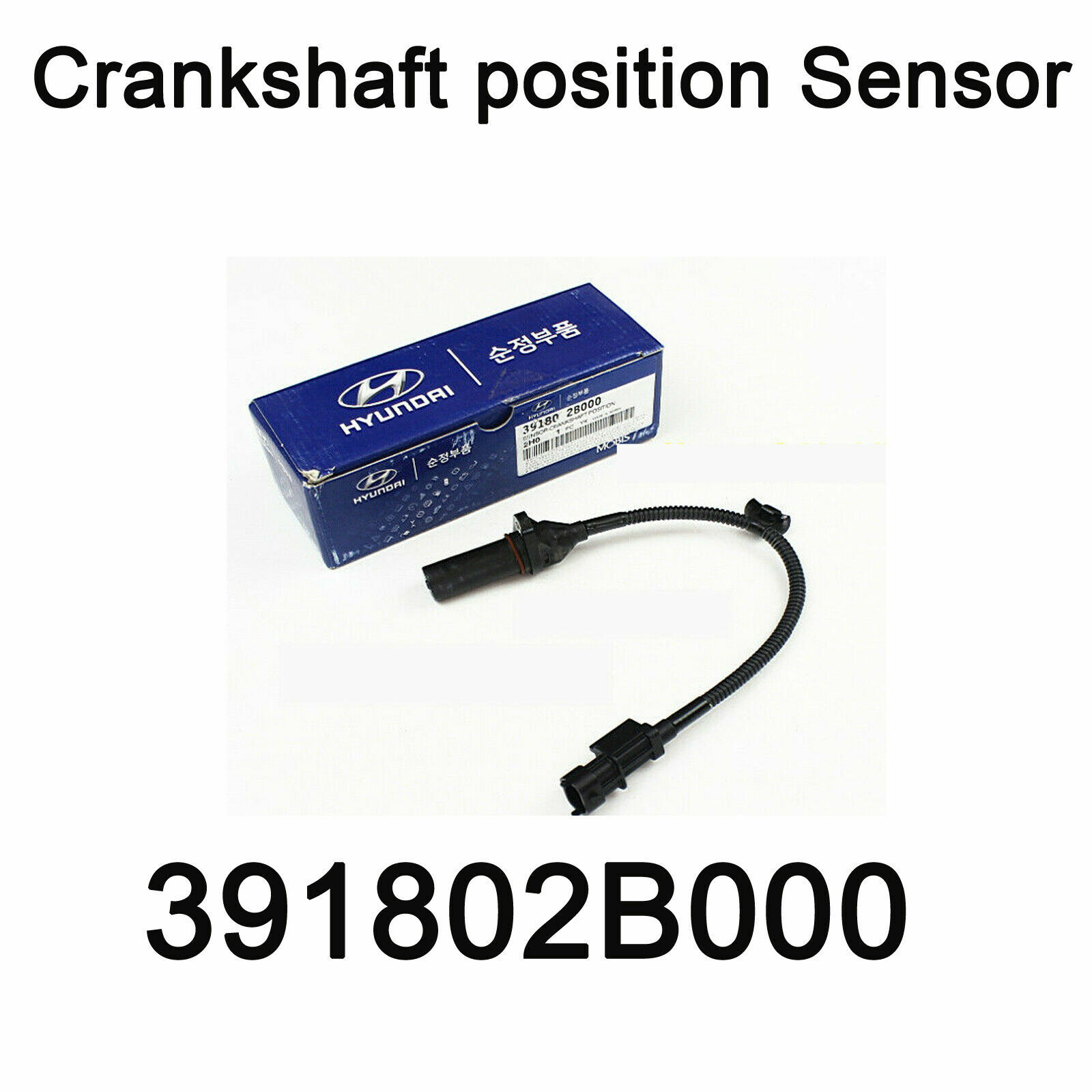 New OEM Crankshaft Position Sensor Oem 391802B000 For Hyundai Elantra ...
