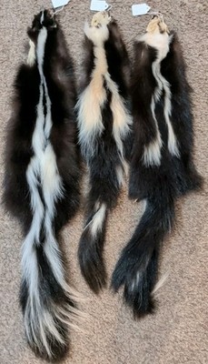 Damaged Wild Skunk Lot~Fresh Tanned Hides~Soft Leather~Craft~Pelt~Soft Fur.  