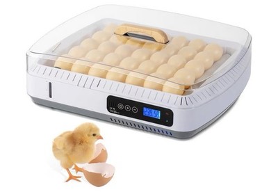 35 Egg Incubator Auto Turning Temp Control LED Candler Water Level Hatcher