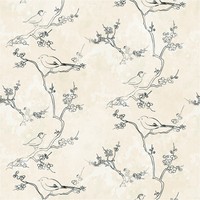 Fototapete Vogeltapete Vliestapete Zeichnung Creme Schwarz Floral Wohnzimmer