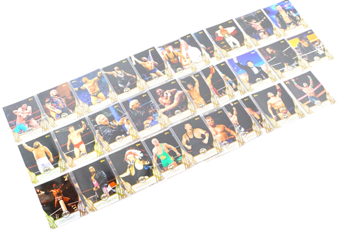 2018 Topps WWE Legends Mens Division Base Set 1-70 MINT/NM+ - Afbeelding 1 van 20