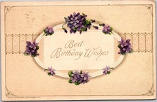 John Winsch 1912 Birthday Postcard Violets Em...