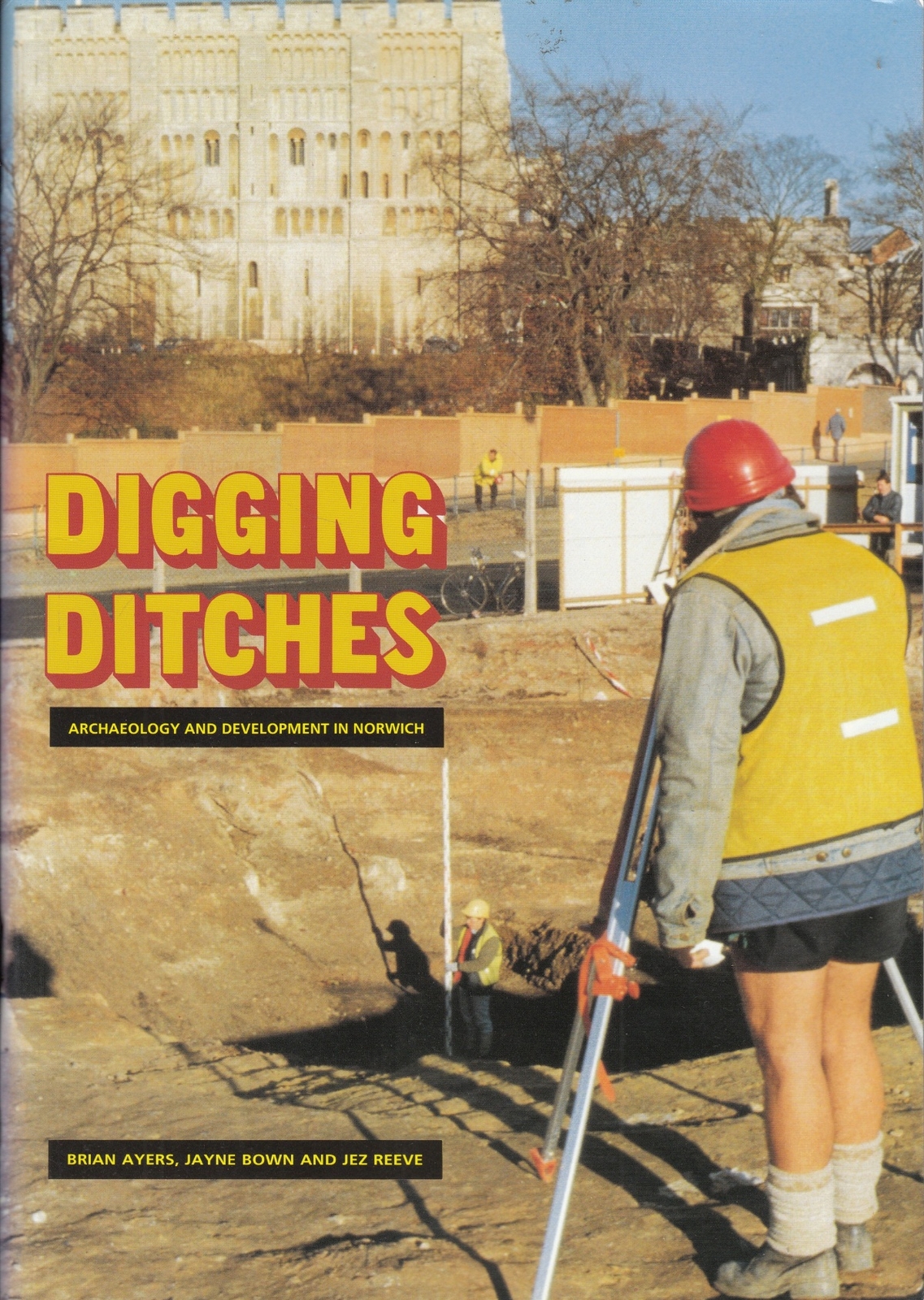 Digging Ditches - Brian Ayers - Norfolk Museums Service - Good - Paperback