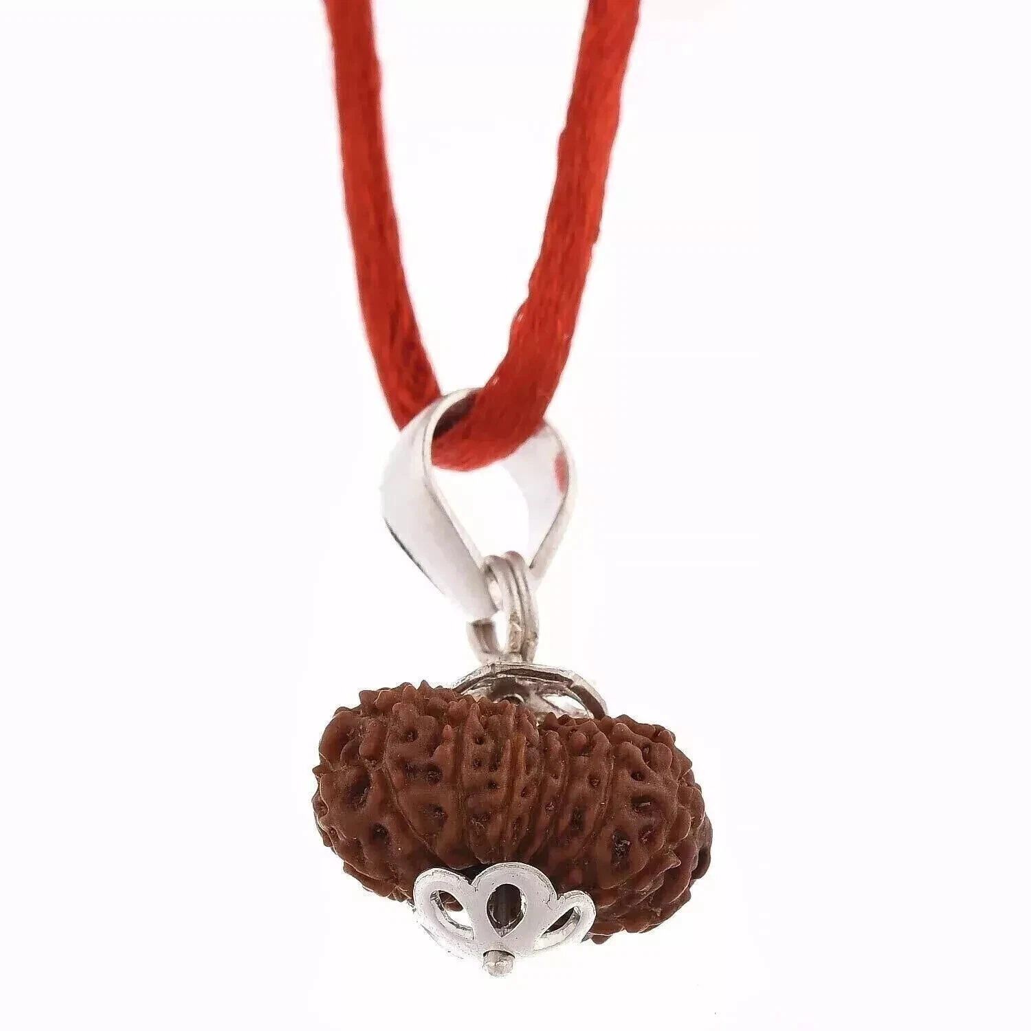 Lab Certified Sacred 14 Mukhi Rudraksha: Lord Shiva's Symbol (A++)