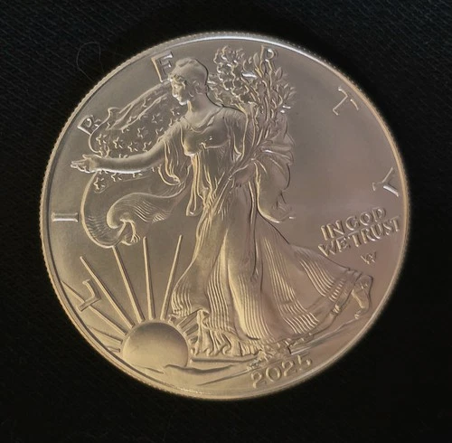 2025 1 oz American Silver Eagle Coin BULLION. 999 Silver