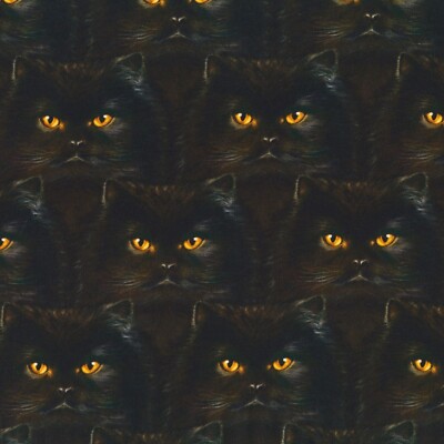 Feline Drive Fabric WHISKERS & TAILS Long-Haired Cats Black - Sold by the Yard