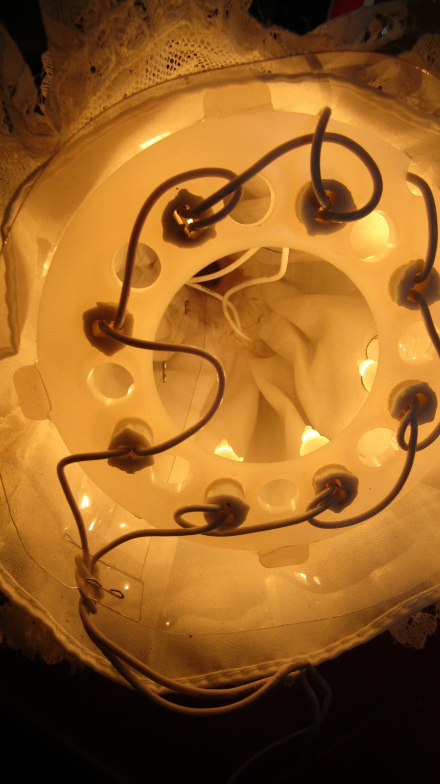 Picture 7 of 7