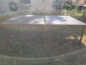 Ping Pong Table Foldable Indoor Tennis Game Table with Clamp Net