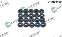 Dr.Motor Automotive DRM01100 Dichtung FüR Zylinderkopfhaubenschrauben