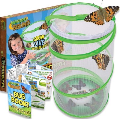 Butterfly Growing Kit - Live Caterpillar to Butterfly Project for Kids - Incl...