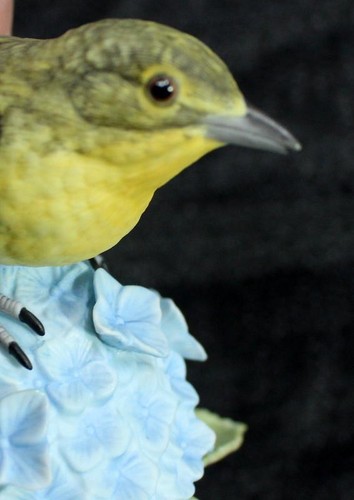 Lenox Garden Birds Yellow Throated Vireo Bird Figurine No Box No Certificate - 第 3/5 張圖片