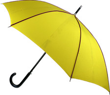 Ladies Auto Stick Umbrella Canopy with Contrast Panel Stitching Lacquered Handle
