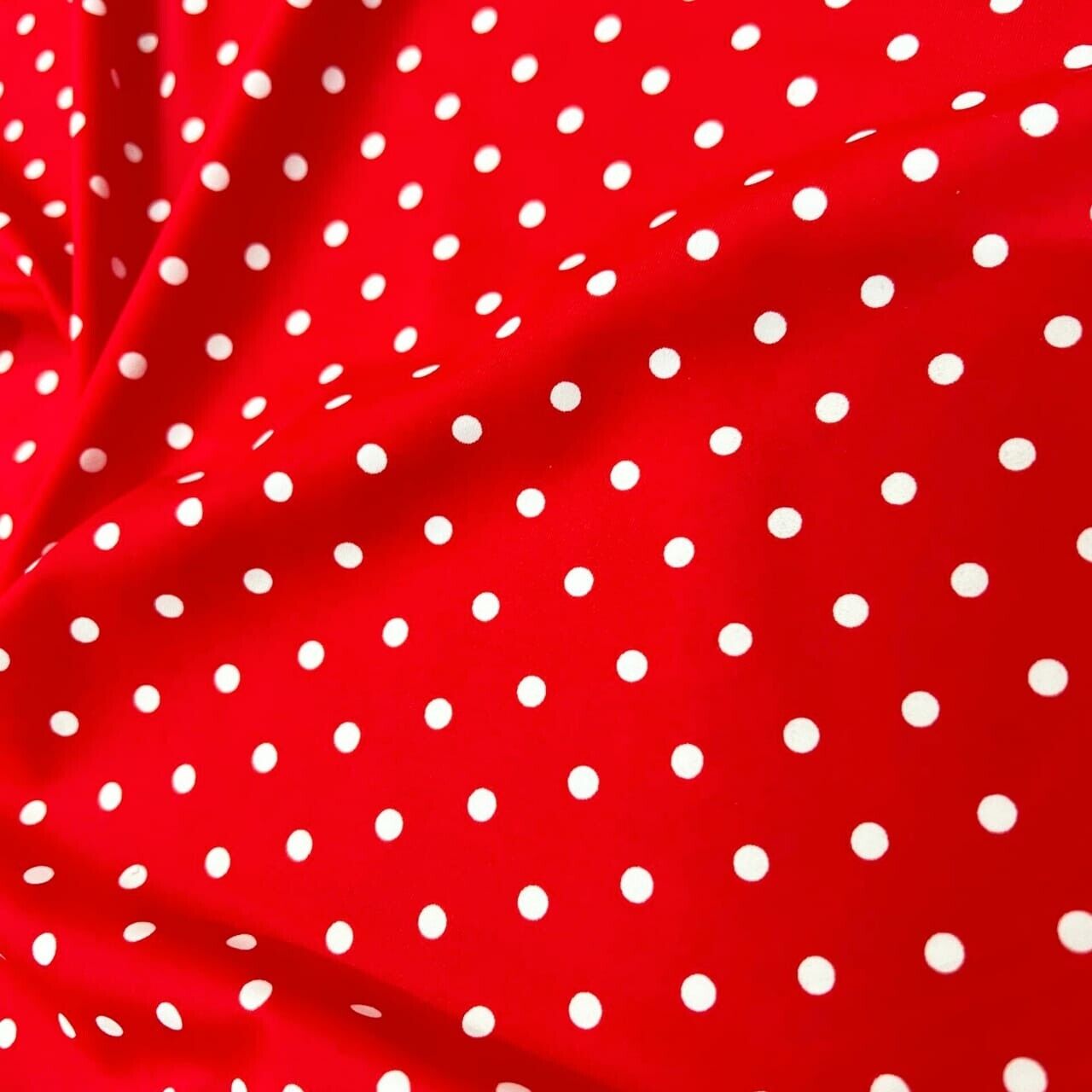 Foto 6 di 6