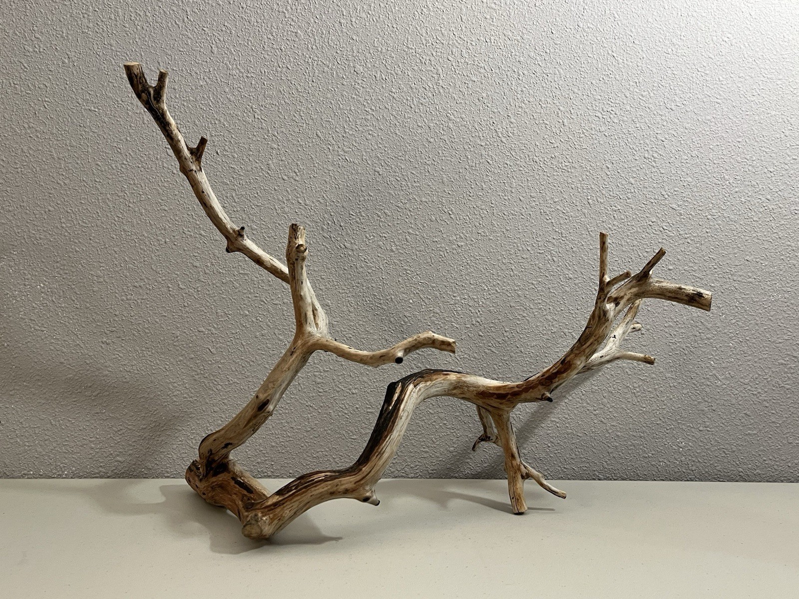 Picture 1 of 6