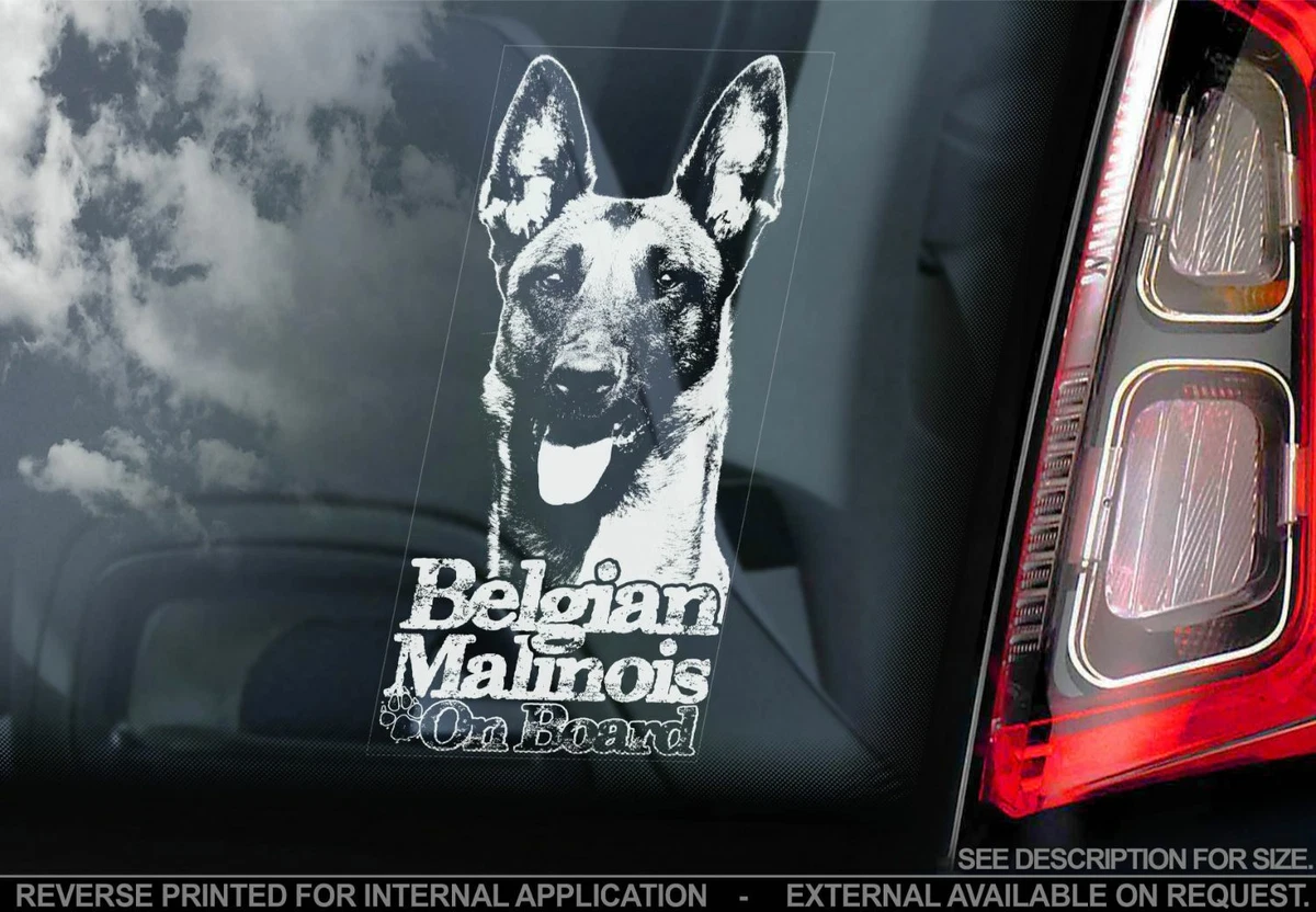 Malinois top car decal