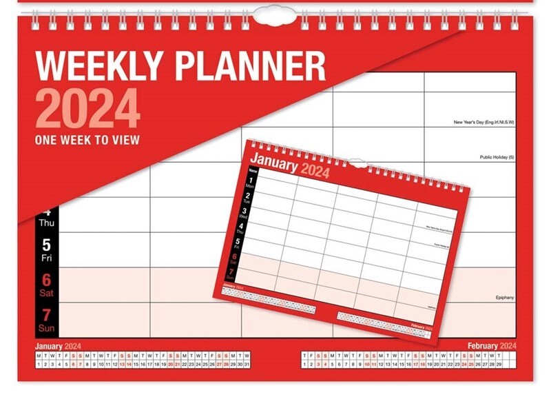 2024 Wall Slim Calendar, Large Month to View Planner, Eas View Calendar  TALLON | eBay