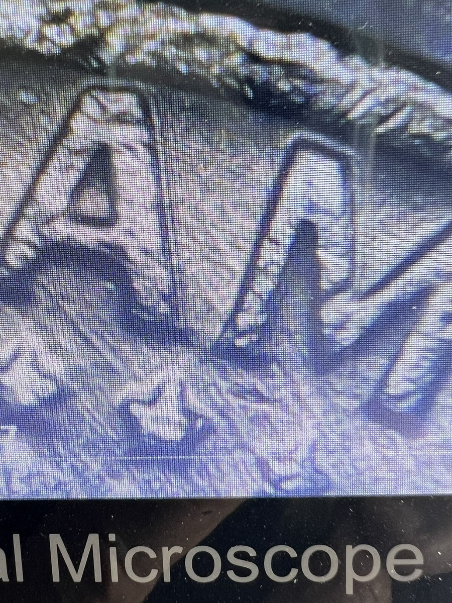 友昭 Error Half Dollar 1980 Kennedy Filled In Mint Mark Miss