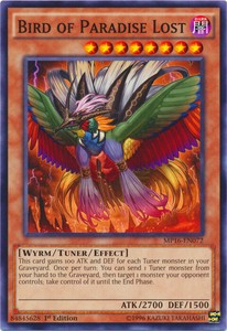 Bird of Paradise Lost - MP16-EN072 - Common - 1st Edition x3 - Near Mint