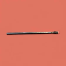 Palomino Blackwing 2020 Eras The 10th Anniversary Pencil - New!