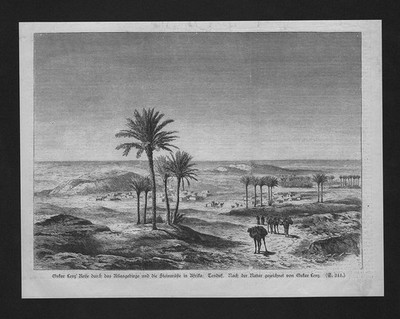 1884 - Atlasgebirge Tenduf Afrika Reise Oskar Lenz wood engraving Holzstich