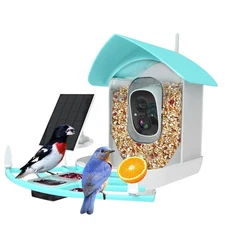Bird Feeder with Camera, Auto Capture Wiress Bird Feeder Camera, AI Identify ...