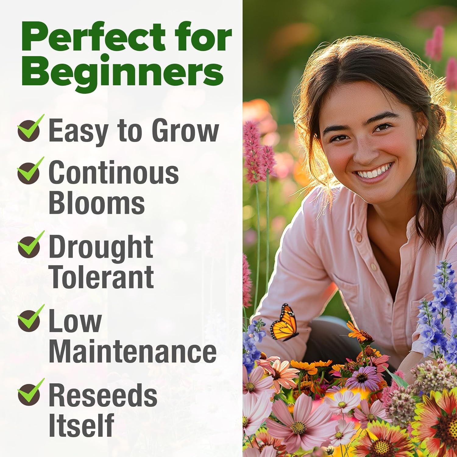 Monarch Butterfly Wildflower Seeds - 2oz Gift Mix for Beautiful Gardens