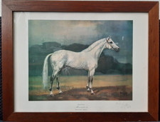 Lithografie Pferdebild signiert