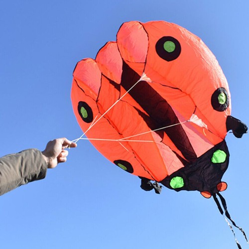 Large 5㎡ Ladybug Kite 2.3m Soft Inflatable Single Line Kite 30D Ripstop Nylon - Picture 5 of 5
