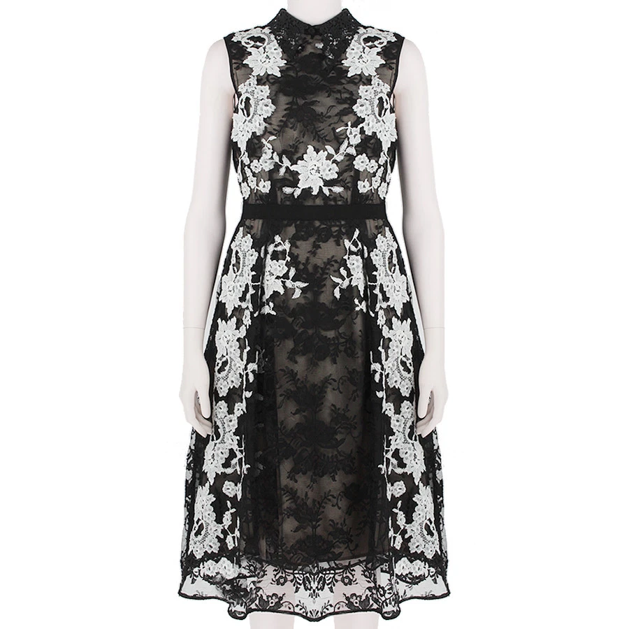 Erdem top lace dress