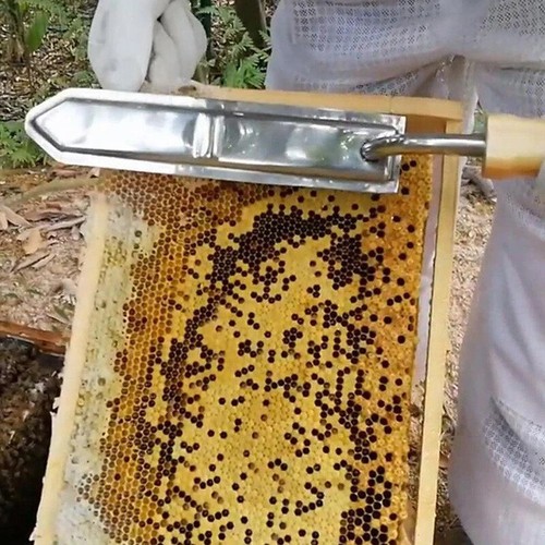 New 1Pc Electric Cutting Honey Knife Bee Honey Cutting Scraper Scraping Beehive - Picture 3 of 32