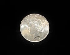 1923 Peace Dollar .900 Silver #CR11724